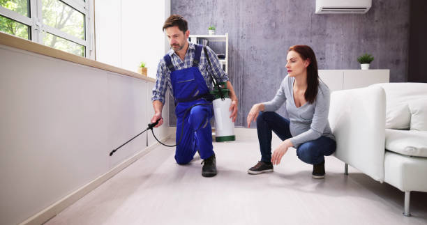 Best Residential Pest Control  in Lakeville, MN